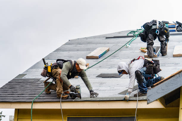 Professional Roofing technician working in Cape Coral, FL